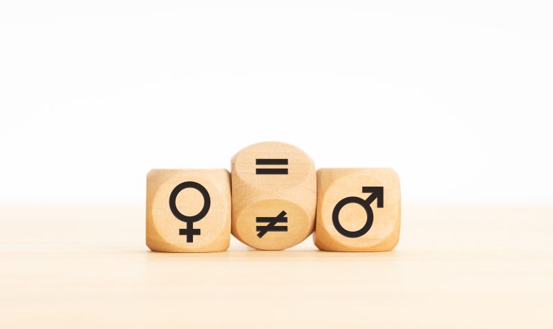 LAS 8 CLAVES DEL PLAN DE IGUALDAD