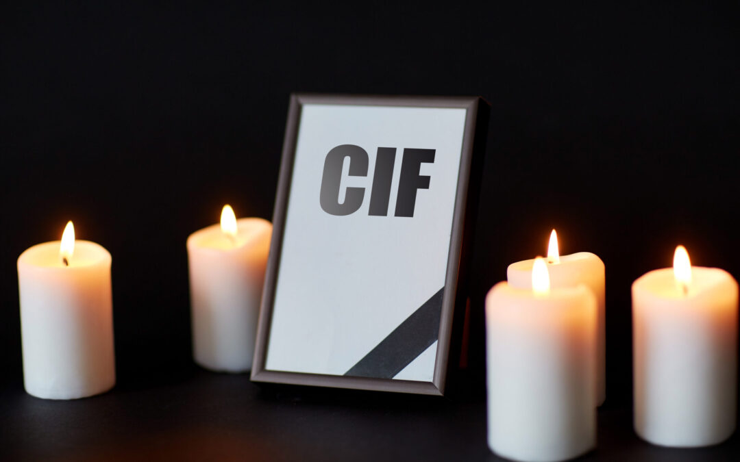 LA REVOCACIÓN DEL CIF: MUERTE EN VIDA DE LA PERSONA JURÍDICA